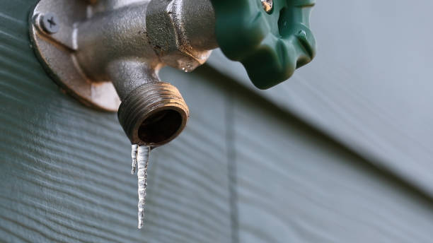 Best Plumbing Repair Near Me  in Allendale, CA
