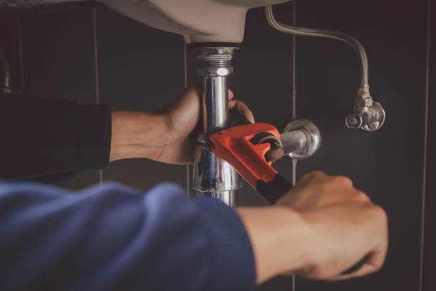 Best Local Plumber Services  in Allendale, CA